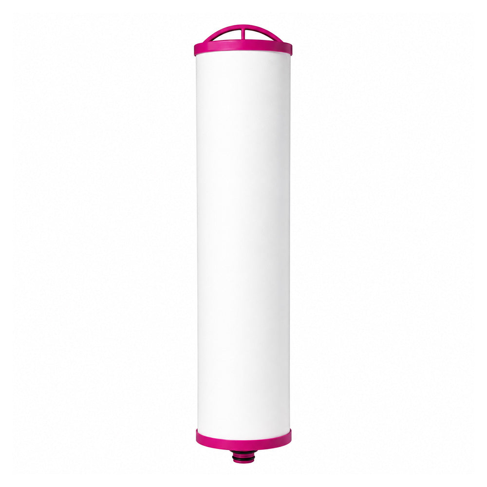 Replacement Cartridge Filters